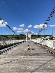 chien assis sur le Pont de la Caille